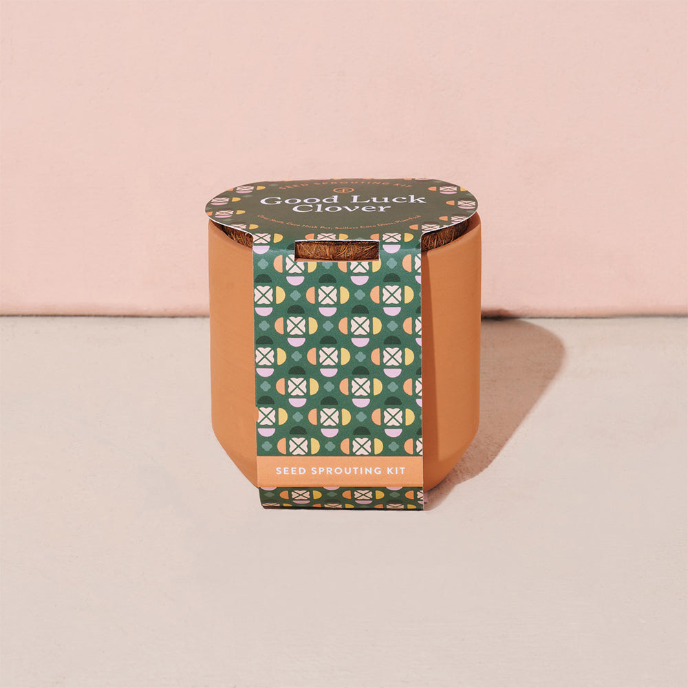 Modern Sprout Tiny Terracotta Grow Kit