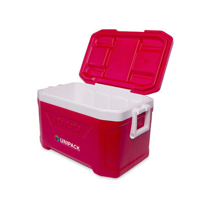 Igloo 50 Quart Cooler