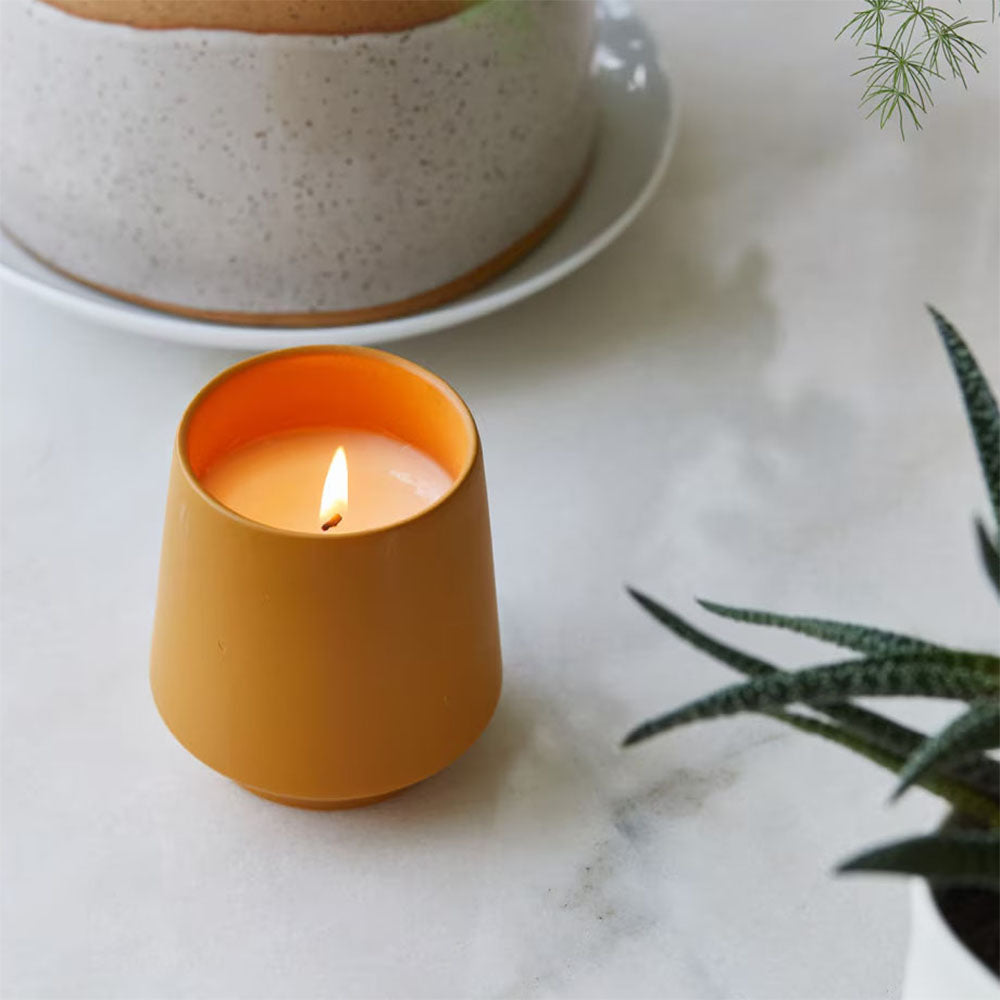 Modern Sprout Rooted Candle