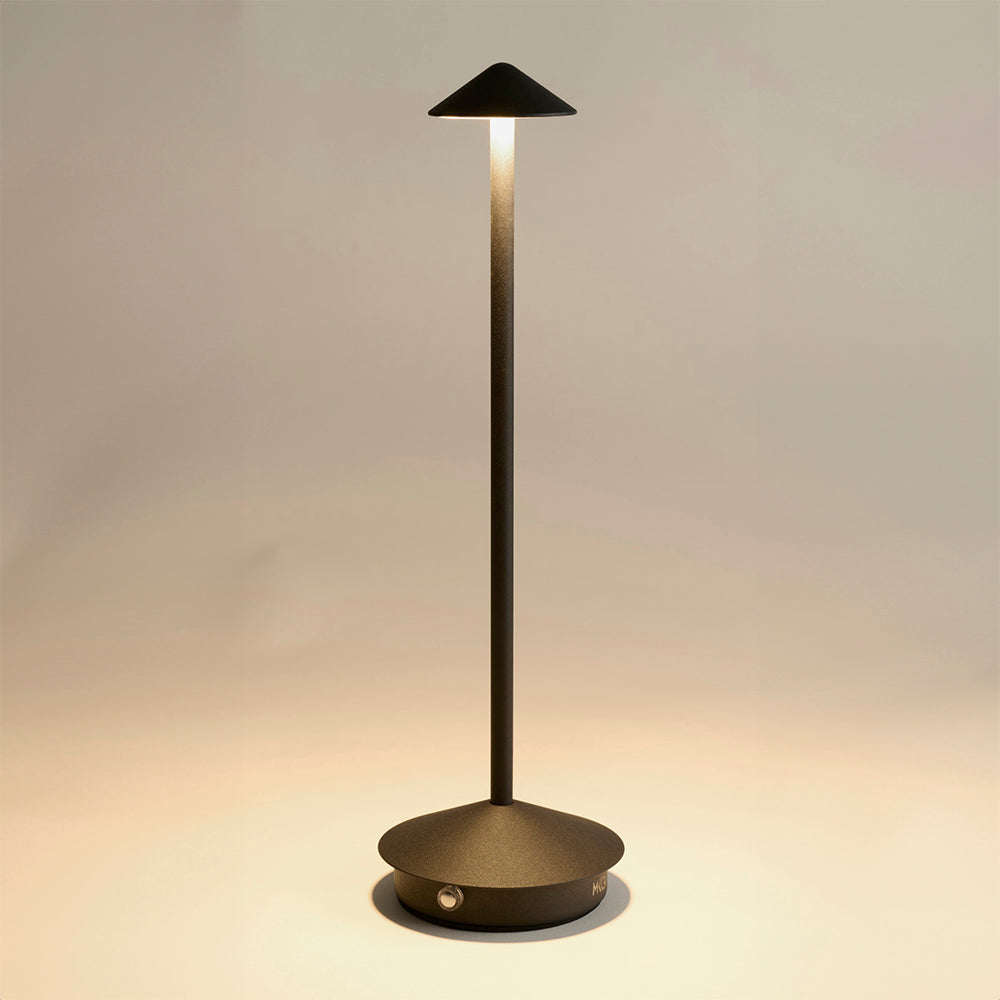 Rechargeable LED Table Lamp