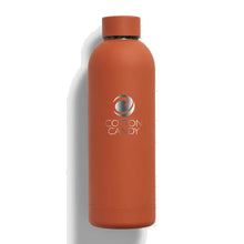 Load image into Gallery viewer, R!PL Water Bottles - 500 ml
